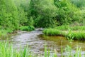 River DÃÂ«kÃÂ¡ta flows in the Neris Regional Park in Lithuania